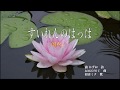 すいれんのはっぱ / 浦かずお
