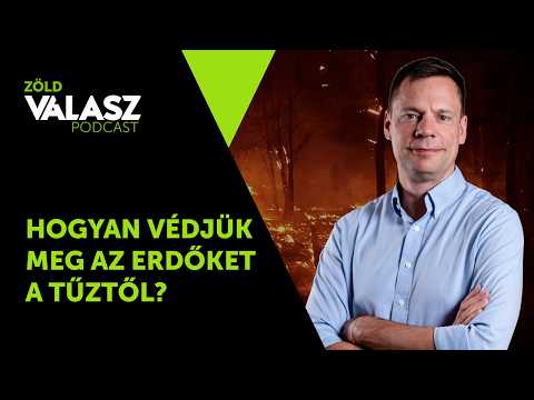 Drasztikusan nő a leégett területek nagysága: így előzzük meg az erdőtüzeket