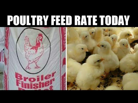 POULTRY FEED RATE TODAY || BROILER PRE STARTER || BROILER STARTER || BROILER
