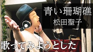 【声優が歌う】青い珊瑚礁／松田聖子【カバー】（Cover）