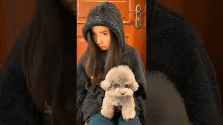 Funny Animals pet foryou shorts