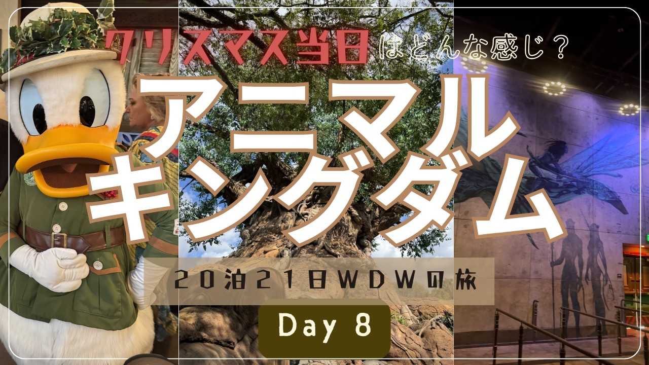WDW20泊21日旅】Day 8：クリスマス当日のディズニーワールドって実際