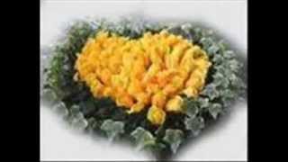 I Will Always Love You - Eftalya Resimi