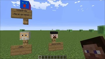 Minecraft Tutorial -- How to Get Custom Player Heads in 1.7