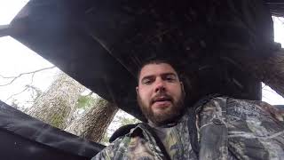 Alabama Rifle Season
