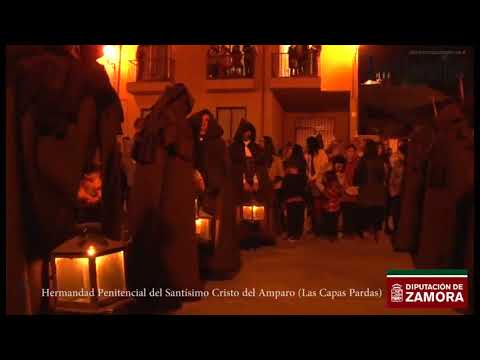 Procesión de la Hermandad Penitencial del Santísimo Cristo del Amparo