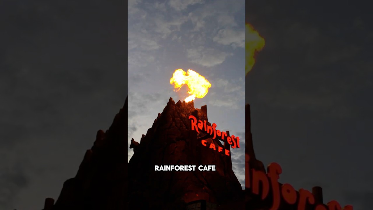 ⚡️ Weather the Storm inside of Rainforest Cafe ⛈️