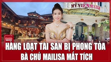 100 cảnh sát bao vây biệt phủ của chủ TMV Mailisa, thu giữ loạt tài liệu cực “nóng”