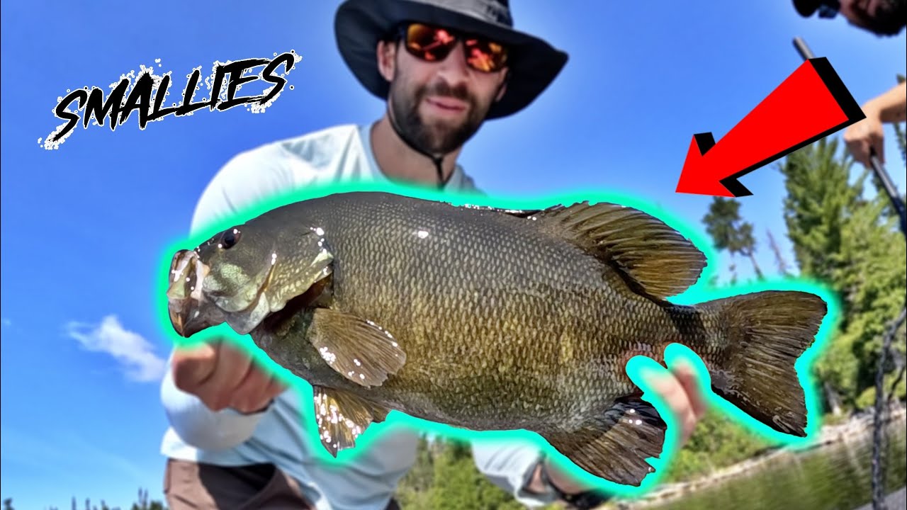 We Found The BEST Smallmouth Bass Fishing in the World!