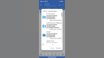 FV File Manager Android 14 aWallet data access