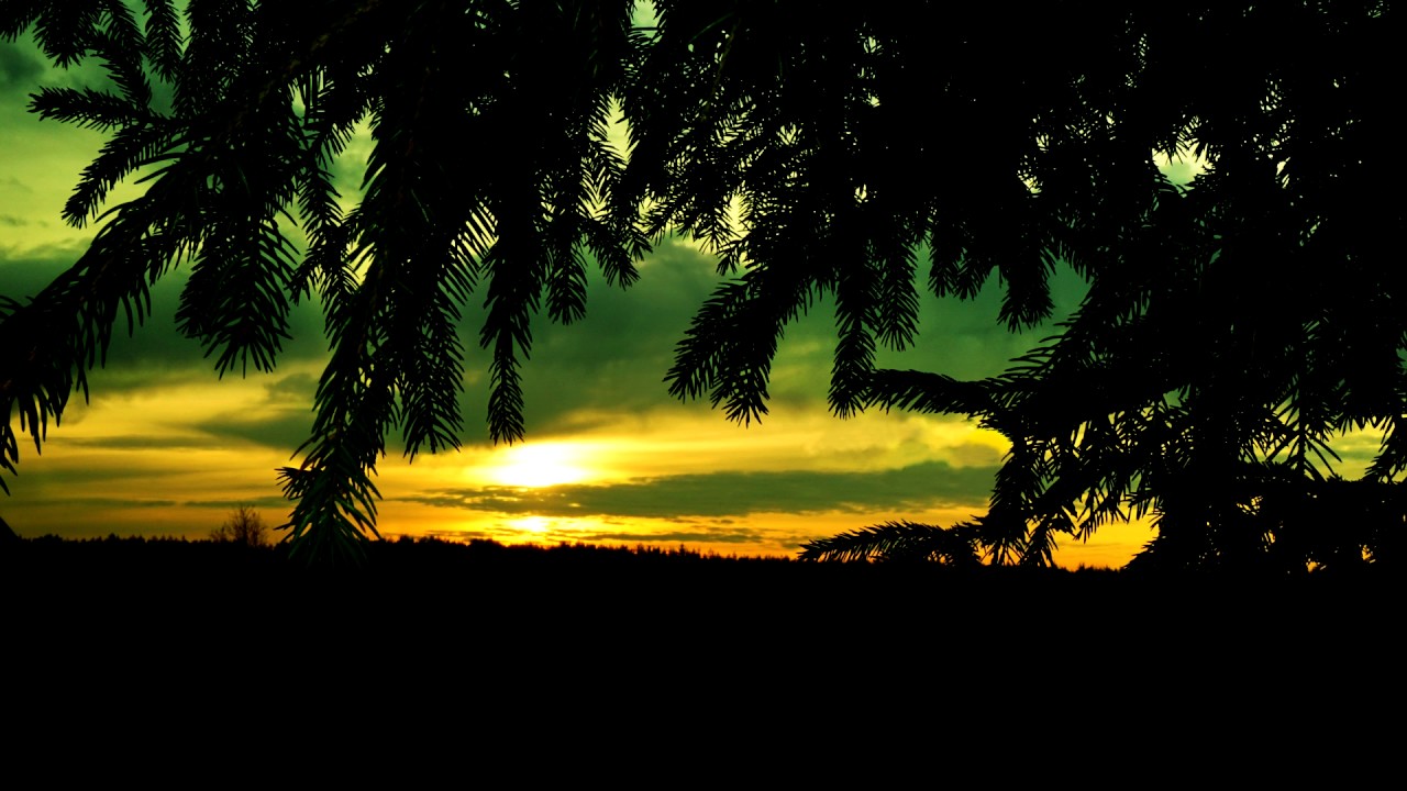 Halbwome -  End Of A Road Less Traveled