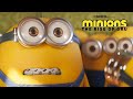 Minion ring ring  ringtone with free download link