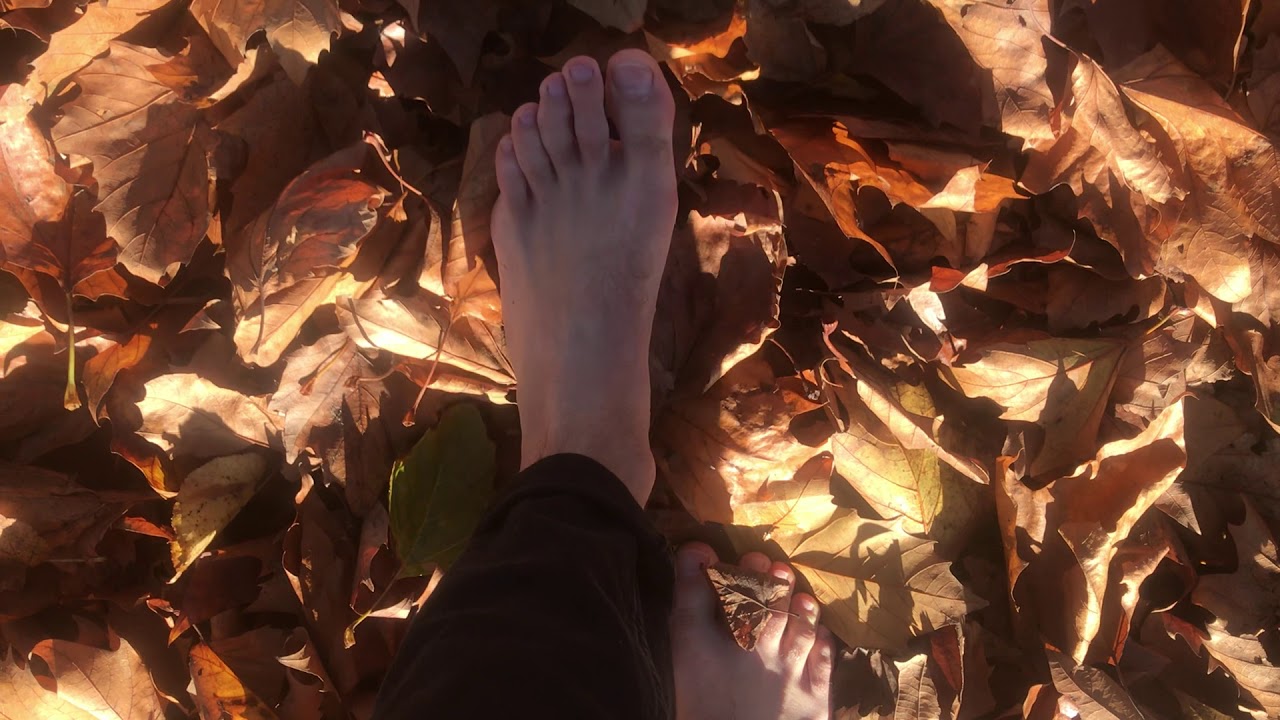 Male Feet walking in the park | Barefoot in public crunching leaves