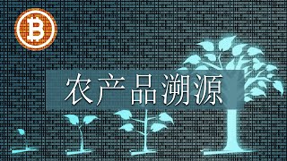 区块链在农产品溯源中的应用：提高供应链的透明度和效率