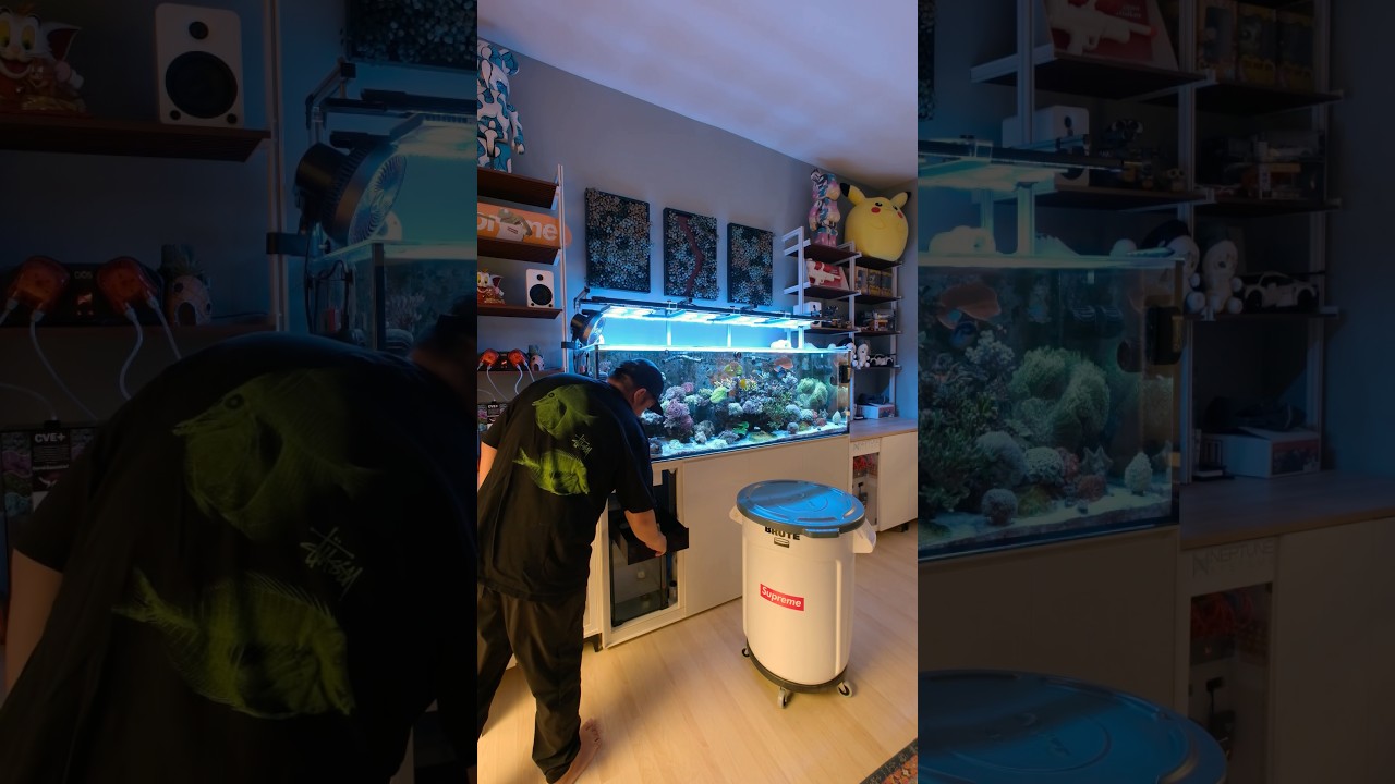 Time to refill some containers for the reef tank. What else do you refill on a monthly basis?