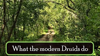 What do the modern Druids do?