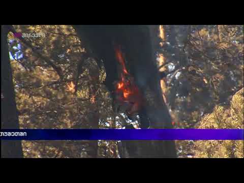 ხანძარი თუშეთში