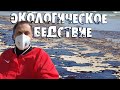 Экологическое бедствие в Израиле – пляжи изуродованы черной смертью