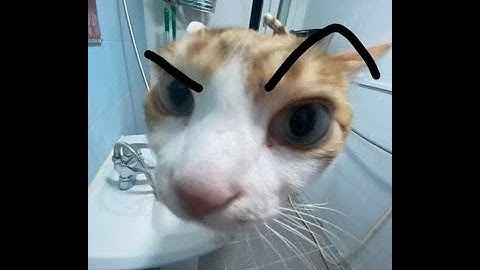 RUST HIGHLIGHT#16 ❤OLD RECOIL❤ 🖤4K🖤