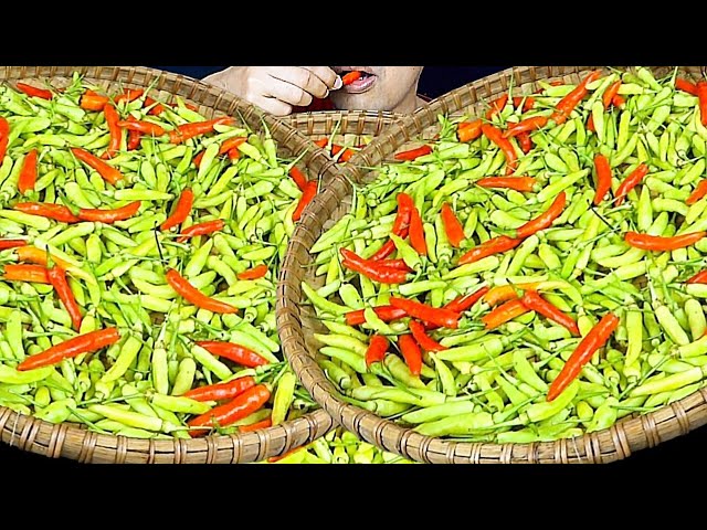 MAKAN CABE SETAN MENTAH 1 TAMPAH || ASMR MUKBANG