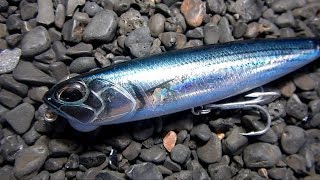 Live Strikes on the Surface with DUO REALIS 130 SW