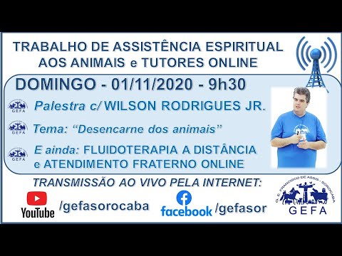 Assista: Trabalho de Assistência Espiritual aos Animais ONLINE - c/ WILSON RODRIGUES JR (01/11/2020)