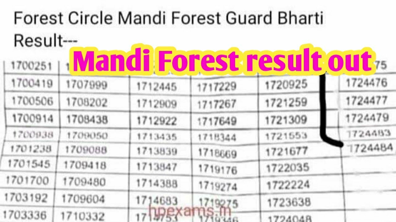 HP Forest Bharti Result out | Mandi Circle Forest Result out | HP Forest guard bharti 2021