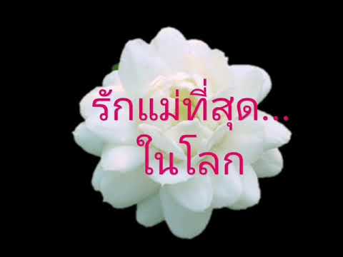 เพลง... คือสายใย​ (วันแม่​ 12 ส.ค.​64​ ออนไลน์)​