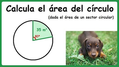 Área de un círculo dado un sector circular