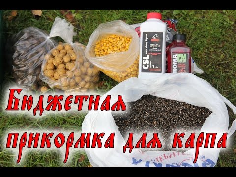 рецепт прикормки для ловли карпа осенью