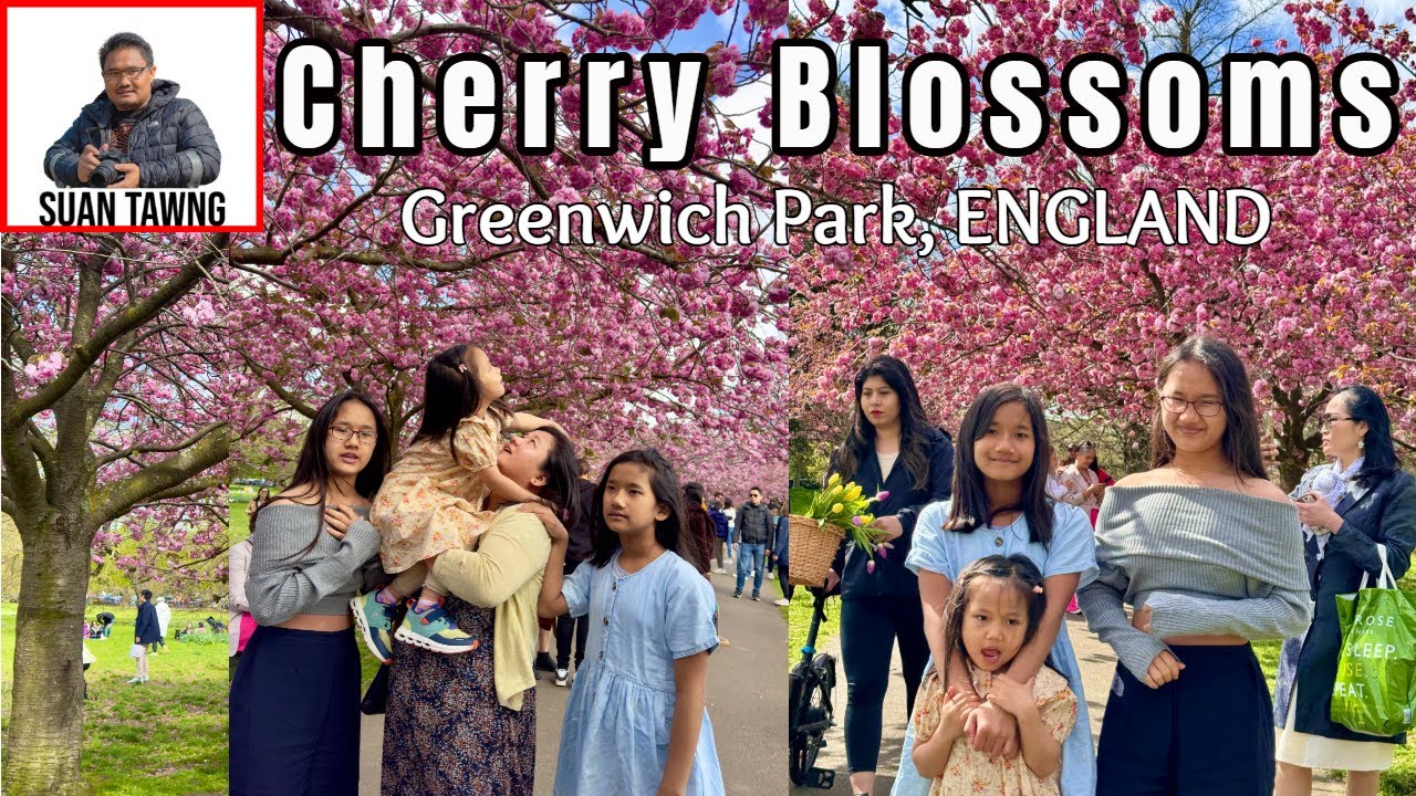 Cherry Blossoms in Greenwich Park, LONDON