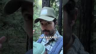 Download Lagu Here are ways you can make sure your child is a multimillionaire by the time they're older MP3