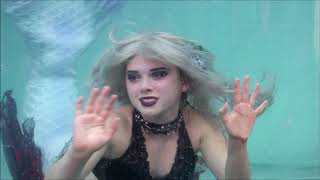 Details CIRCUS SIREN POD Performance at Mermaid MegaFest 2019 ♥ Professional Mermaids in a Tank ♥ #Mermaids News
