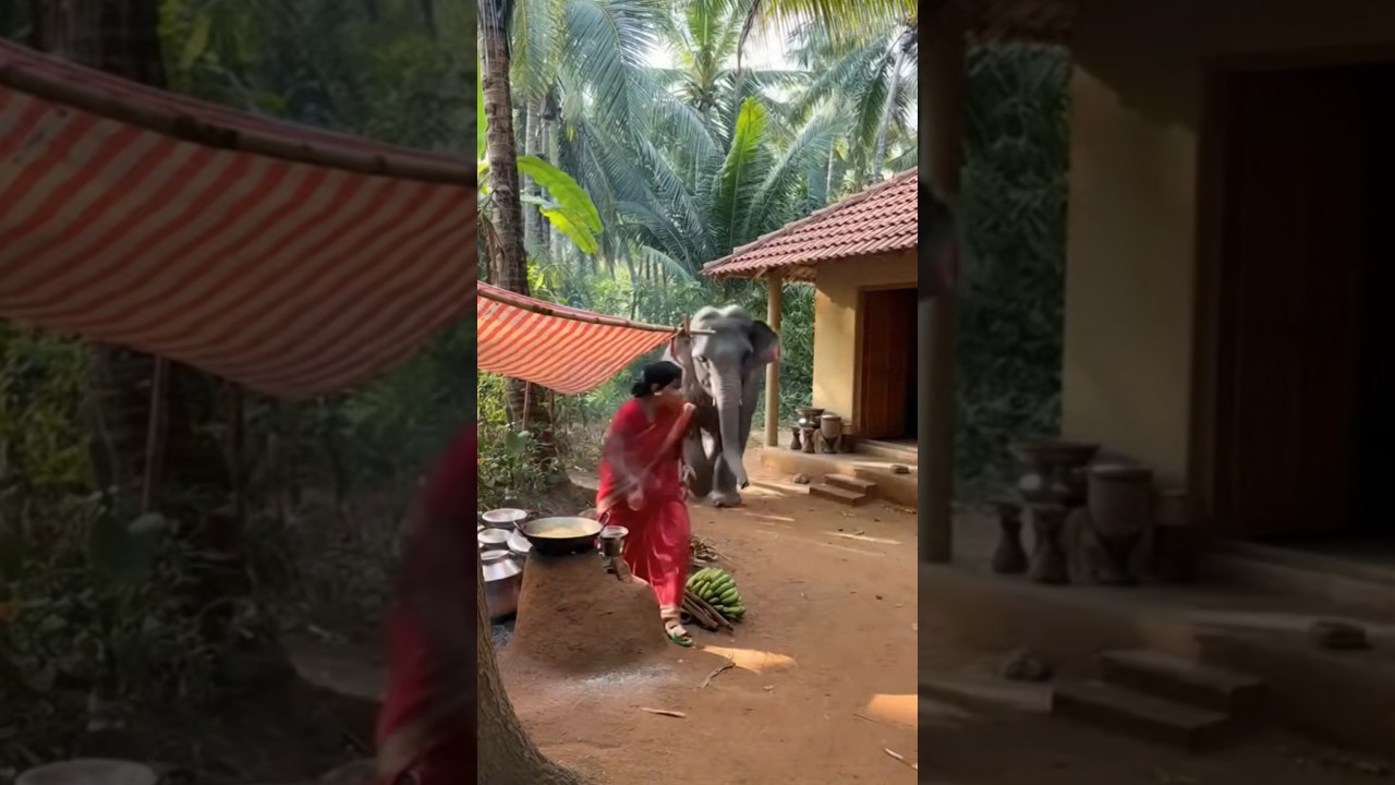 Wild Elephants Attack 😱 | Peaceful Village Turns Chaos | Real Footage