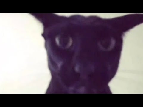 تجميعة العمر 1      اكسبلور ضحك