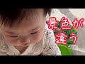 お座りした赤ちゃん
