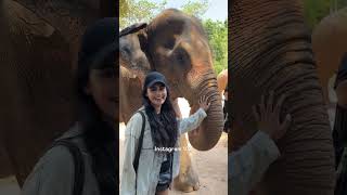 Instagram Vs Reality - Elephant Edition