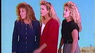 Fremont California Ford - 1989