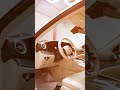 Mercedes Custom Interior Makeover | Dubai Upholstery Specialists