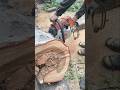 chainsaw stihl ms361 Wood cutting Firewood Woodworking projects #shortvideo #chainsaw