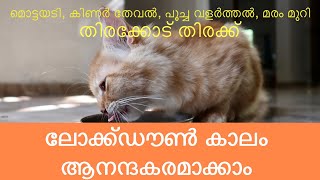 ലോക്ക്ഡൌൺ കാലത്തെ എങ്ങനെ വിനിയോഗിക്കുന്നു. Lockdown in Kerala. Day in my life. Shabeer sha.