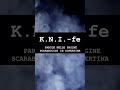 K.N.I.-fe Quotes [ITA]