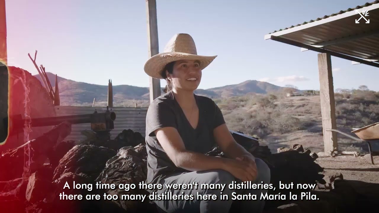 Impact of mezcal on community landscapes with Cuca Ramos