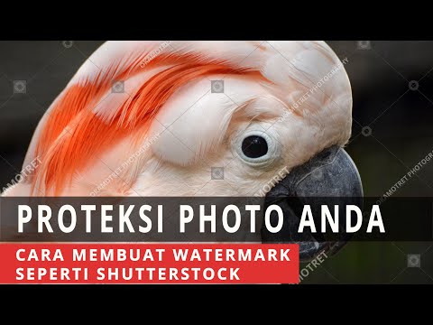 Video: Bagaimana cara membuat tanda air seperti Shutterstock?