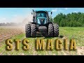 Всходы! "STS MAGIA" VELES AGRO