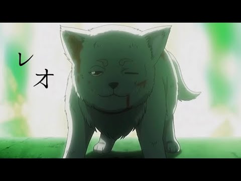 〖shortMAD 〗レオ× 定春