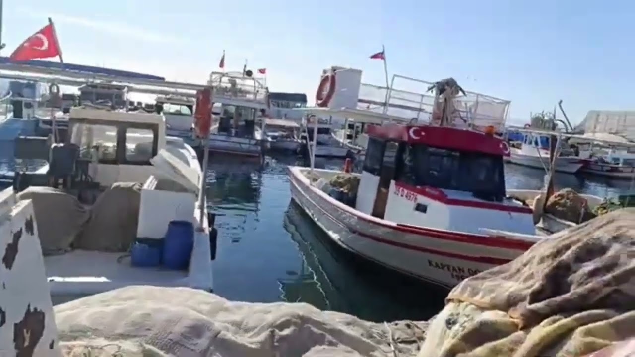 BELGESELCİ MUSTAFA - HAYALET SEVGİLİM 