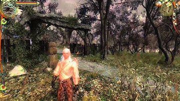 The Witcher enhanced edition - Damn those Swamps! (Adventure )