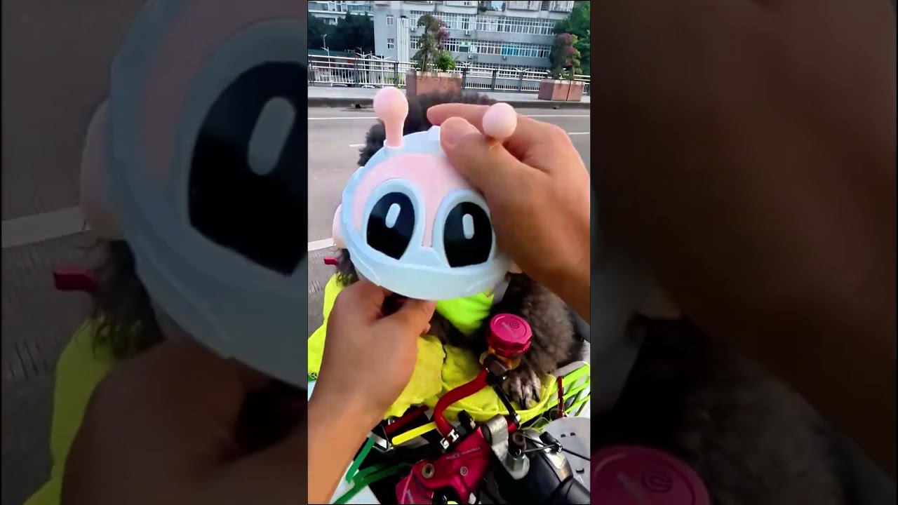 Üç Sevimli Köpeğin Eğlenceli Bisiklet Gezisi 🐶🚲#shorts