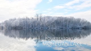 Four Seasons of Mohegan Lake